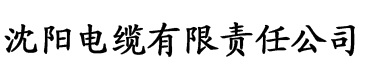 香蕉视频在线影院电缆厂logo